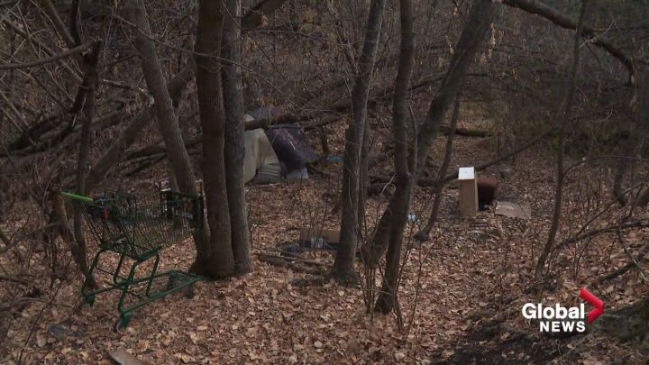 Click to play video: 'Edmonton Homeless Camps on the Rise'