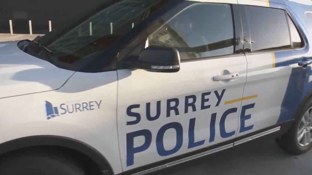 Click to play video: 'Police Referendum Volunteers Get Attention From Surrey Ordinance Officers'