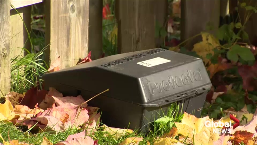 Click to play video: 'Moncton neighborhood with rat problems can get help from the city'