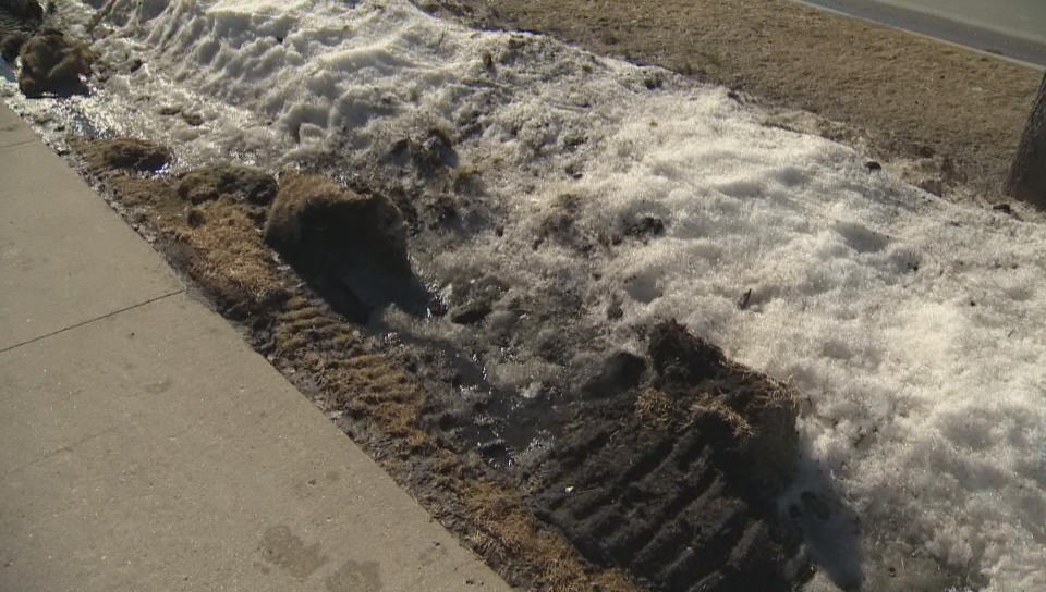 Click to Play Video: 'Broken Cement, Ripped Grass Left by Winnipeg Snow Plows During Winter'