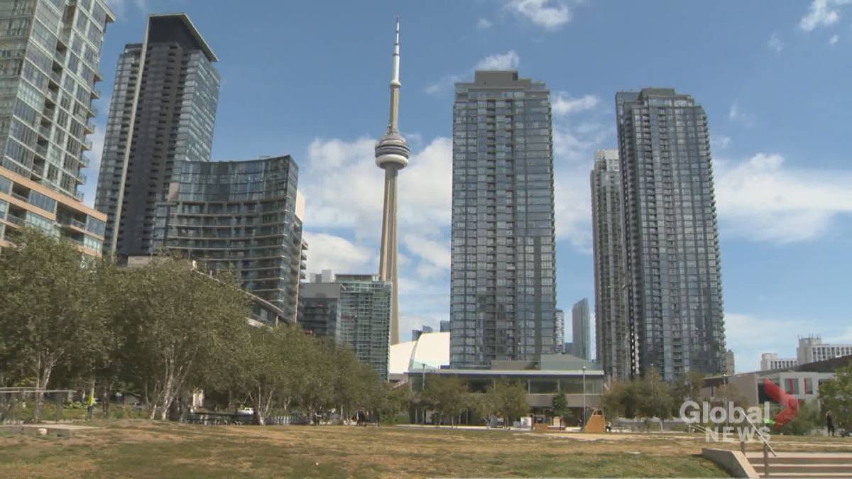 Click to Play Video: 'Elections in Canada: Downtown Toronto Residents Say Their Opinion on Housing and Affordability'
