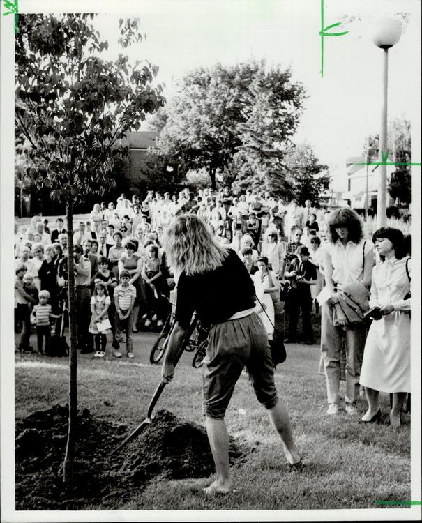 A friend helps plant a lilac tree in honor of Prince in Humewood Park on June 29, 1982.