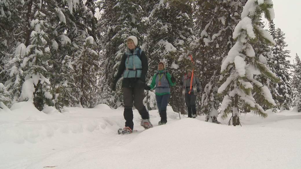Click to play video: 'Avalanche Canada Launches Technology To Promote Safe Adventures'