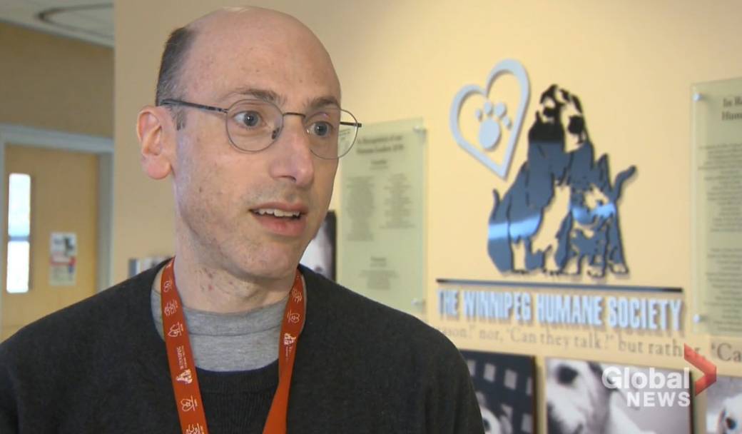 Click to play video: 'Winnipeg Humane Society CEO Discusses Animal Safety After Dog Attack'