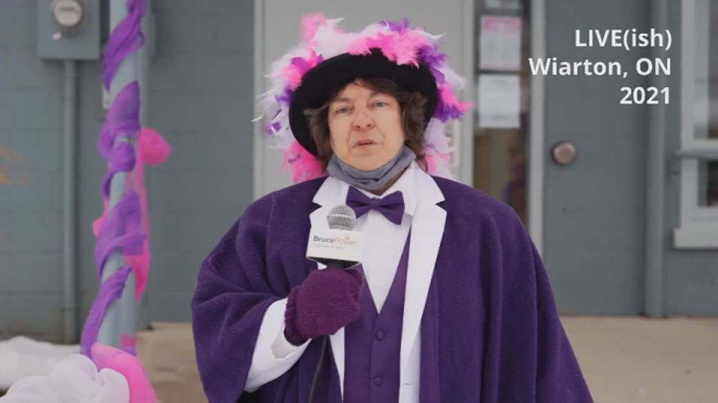 Click to play video: 'Groundhog Day 2021:' Wiarton Willie 'Predicts Early Spring'