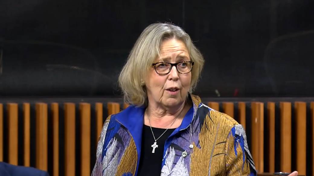 Click to play video: '' We have entered the world of a climate emergency: 'Elizabeth May calls for a national effort to confront the climate crisis'