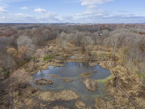 A pond in the Spring Garden Natural Area, part of the Ojibway Prairie Complex, is seen on Thursday, Nov. 18, 2021.