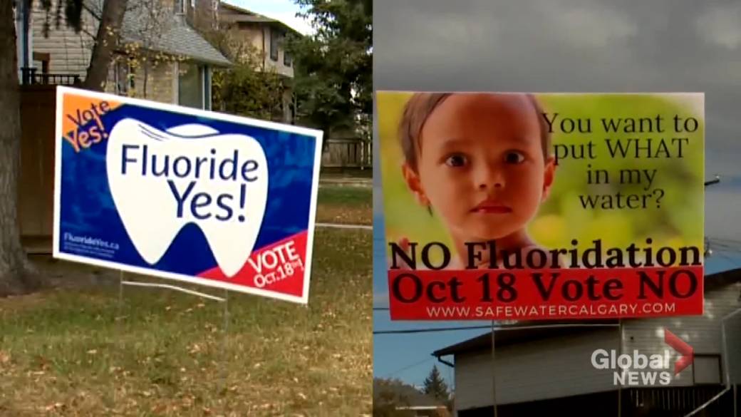 Click to play video: 'Calgary's Choice: Campaigning Groups on Both Sides of the Fluoride Debate'