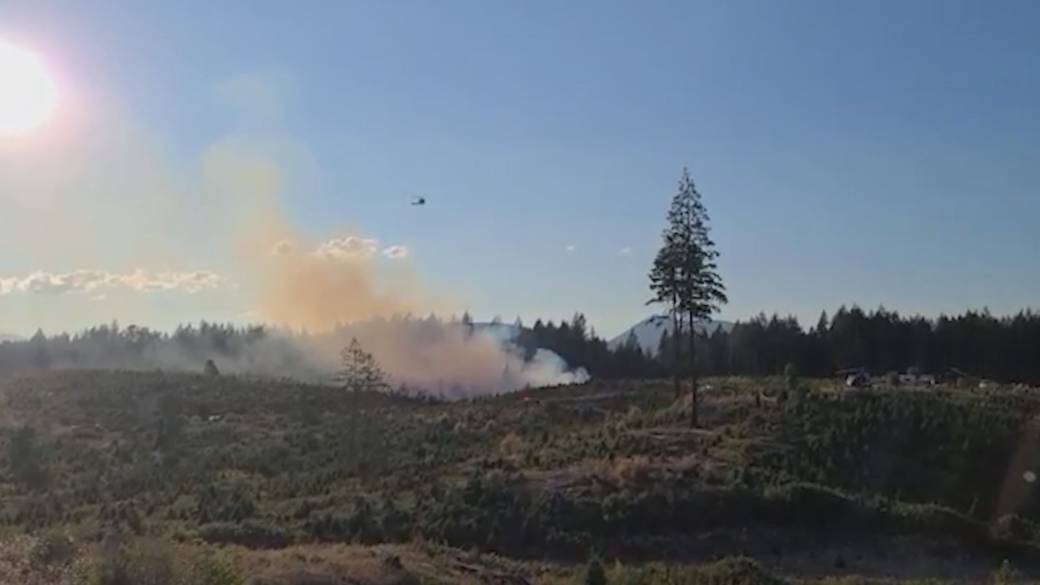 Click to play video: 'Fire destroys up to 1,000 trees at Nanaimo's Gogo Christmas tree farm'