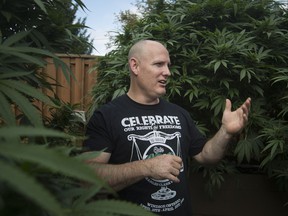 Windsor marijuana activist and medical marijuana licensee Leo Lucier is shown on September 19, 2018 in the backyard of a friend's house in Amherstburg with large cannabis plants.