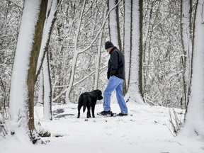 Daniel Simard walks his dog Sulky down a snowy path in Westmount's Summit Woods in the spring of 2021.