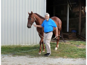 Horseman Tom Bain takes Midnight Player out of the barn and into the corral at the farm on County Road 8 in October 2020.
