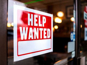 During an economic reboot in which startups should be booming across the country, 55 percent of entrepreneurs are unable to hire, according to a report from the Business Development Bank of Canada this fall.