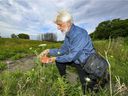 David Fletcher of the Green Coalition observes a land marker on federally owned land that is home to a large population of monarch butterflies in part of the Technoparc Wetlands in the St-Laurent district.
