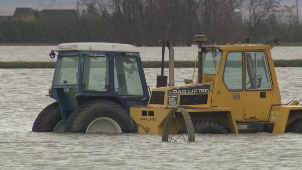 Click to Play Video: 'Flood Recovery Efforts Continue in Fraser Valley'