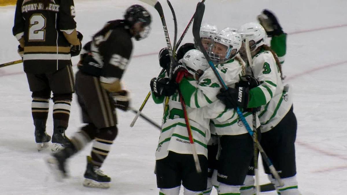 Click to play video: 'Young Saskatchewan Huskies Women's Hockey Team Turns Out'