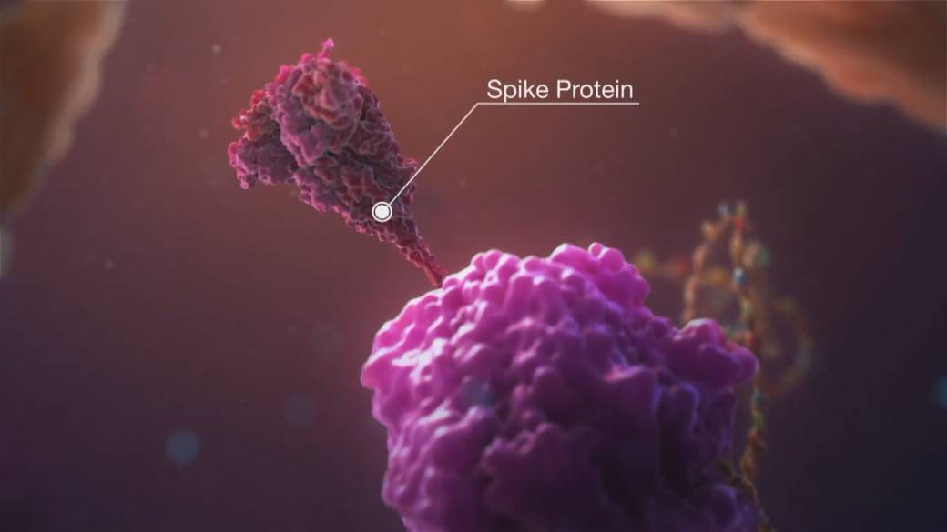 Click to play video: 'UBC researchers provide first molecular-level analysis of Omicron peaks'