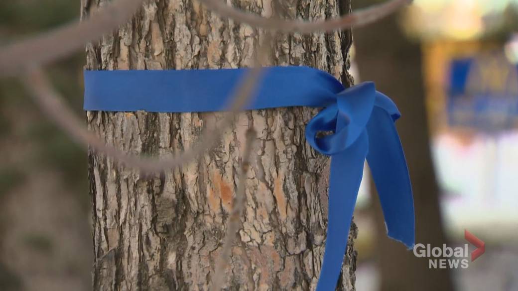 Click to play video: 'Calgarians mourns loss of Sgt.  Andrew Harnett, killed in the line of duty '