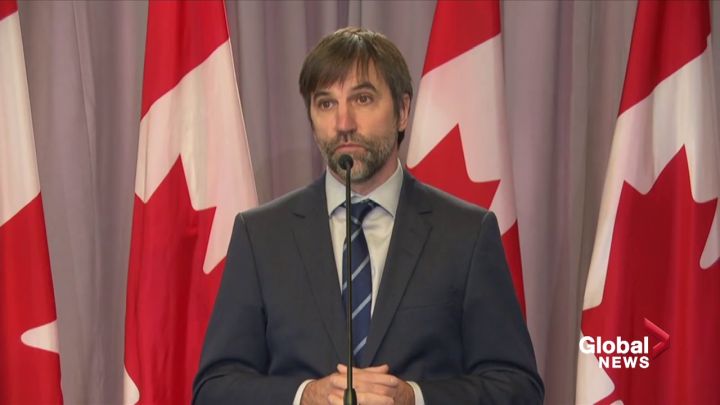 Click to play video: 'Canada's new environment minister says he will not try to end oil and gas jobs'