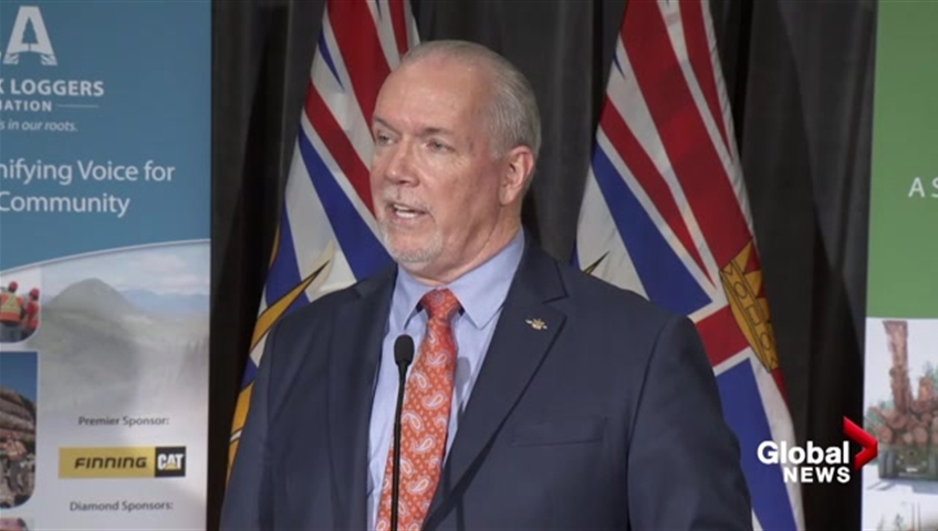 Click to play video: 'Premier Horgan on using waste wood to power pulp and paper mills'