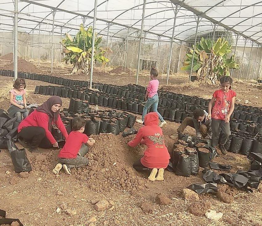 Sanam and her husband Othman with five of their children work in a local greenhouse in Lebanon.  They are paid $ 10 a day for the job.