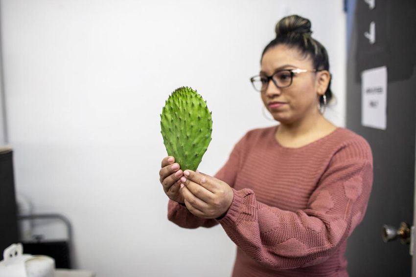 Tienda Móvil owner Gabriela Flores holds a fresh cactus petal often used in Mexican cuisine.