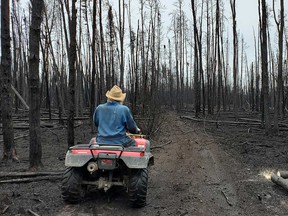 A stock photo of an ATV in use.