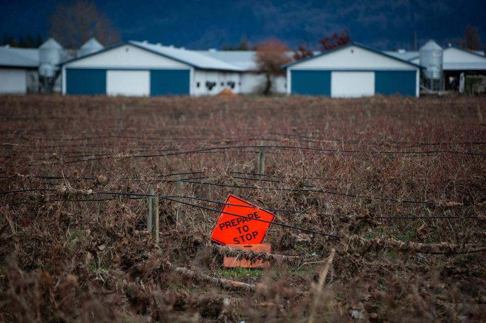 A traffic control sign that was carried by flooding to a blueberry farm lies on the ground after the water receded, in Abbotsford.