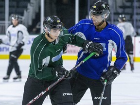 Logan Mailloux, dressed in green, fights with a teammate at London Knights training ground in 2019. The Ontario Hockey League announced Wednesday that Mailloux completed a suspension that began in the fall for sharing a Intimate photo of a woman without her consent while playing as a professional.  hockey in Sweden in November 2020 (Derek Ruttan / The London Free Press)