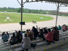 Fans in the grandstand on the opening day of the sled racing season at Leamington Raceway, August 8, 2021.