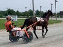 A competitor on the opening day of the harness racing season at Leamington Raceway, August 8, 2021.