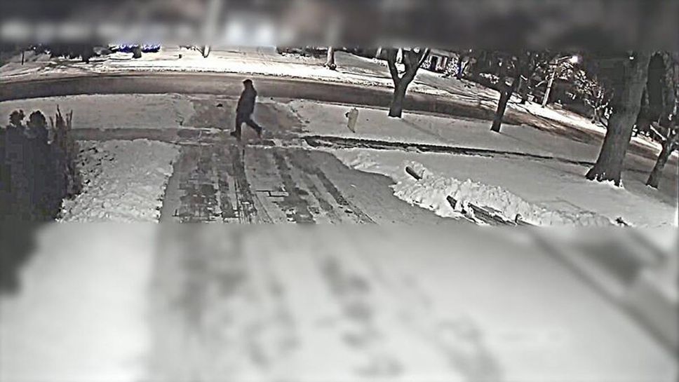 Toronto police investigators released a video on December 14 of a person identified as a suspect in the Sherman murder case, who is now four years old.