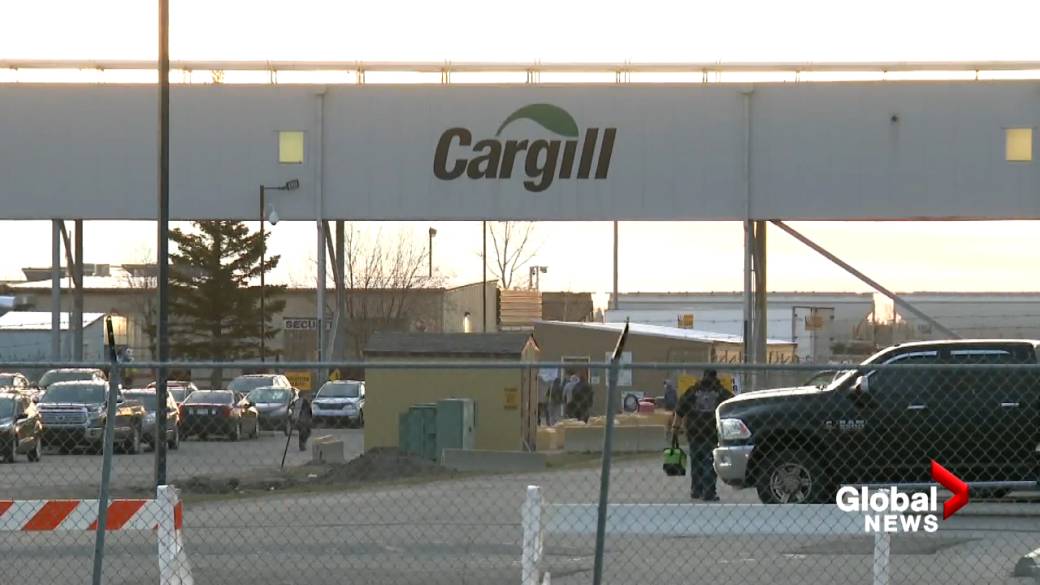 Click to play video: 'Cargill Workers Vote Strike'