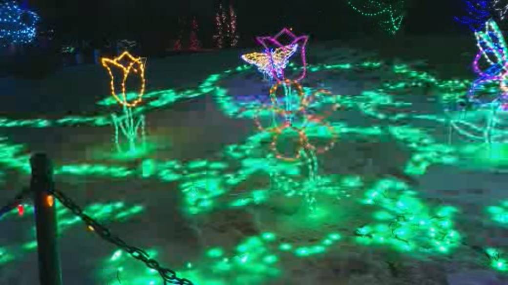 Click to play video: 'Zoo Lights Back at Assiniboine Park'