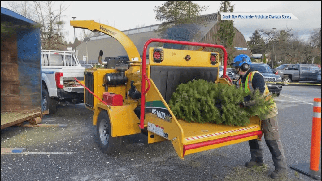 Click to play video: 'New West Firefighters Organize Drive Through Christmas Tree Chip'