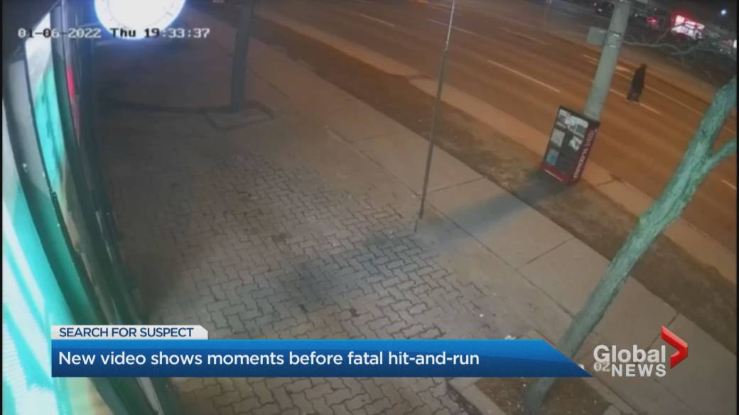 Click to play video: 'New video appears to show moments before fatal Scarborough hit and run'