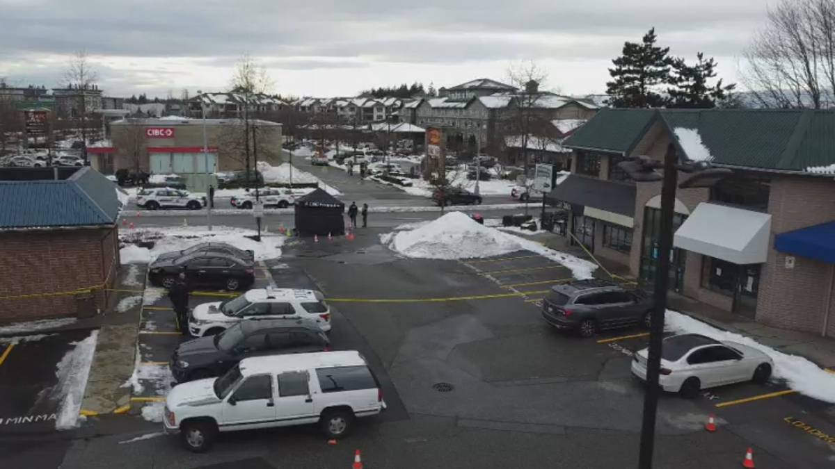 Click to play video: 'RCMP is investigating fatal shooting at Langley shopping center'