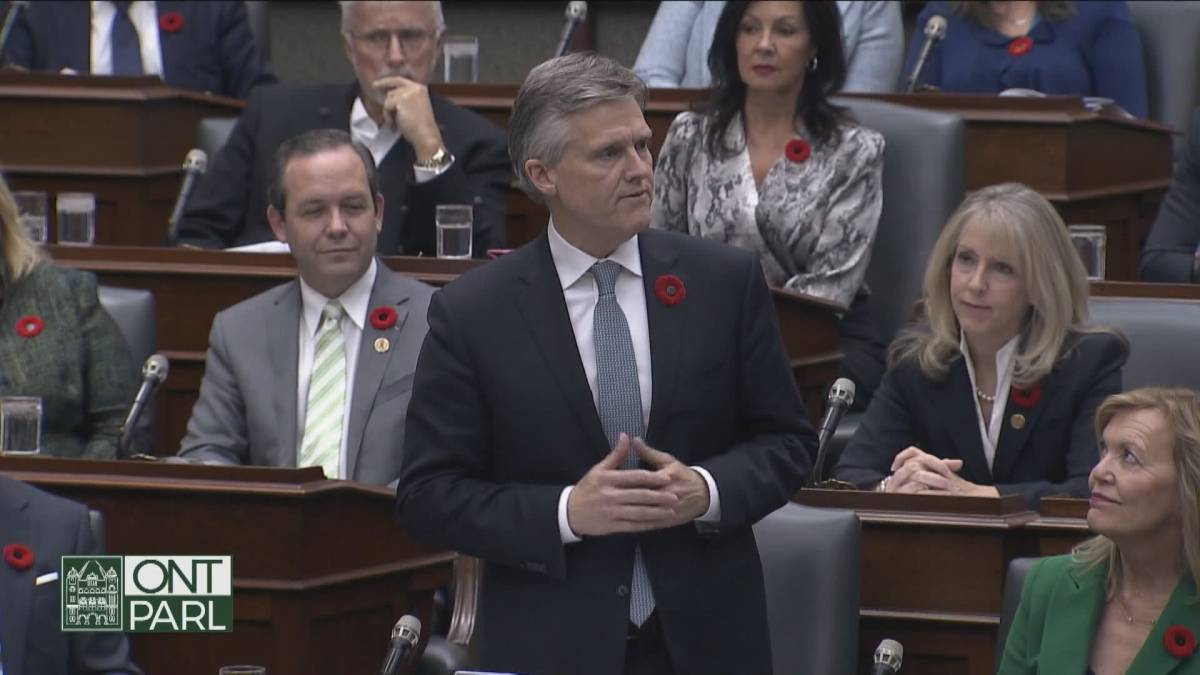 Click to play video: 'Ontario long-term care minister says he will not seek re-election'