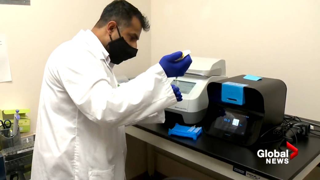 Click to play video: 'AHS restrictions testing criteria as private labs brace for an increase in demand'