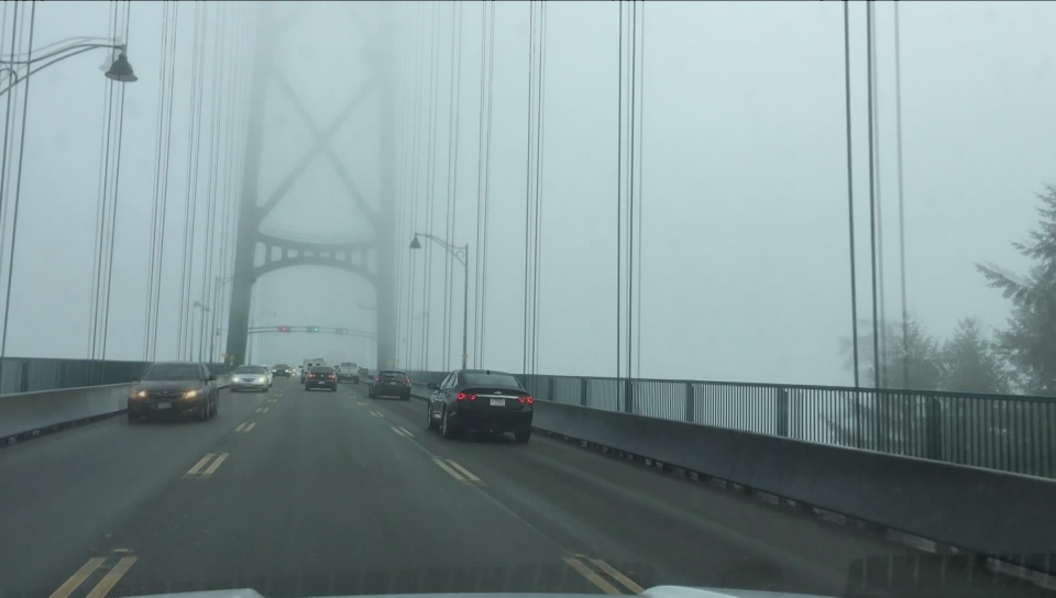Click to play video: 'Metro Vancouver Fog Causes Trouble'