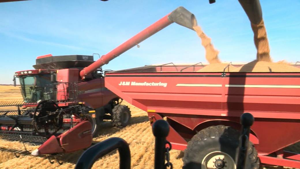 Click to play video: 'Sask.  agricultural industry in the spotlight on Canada's Food Day '