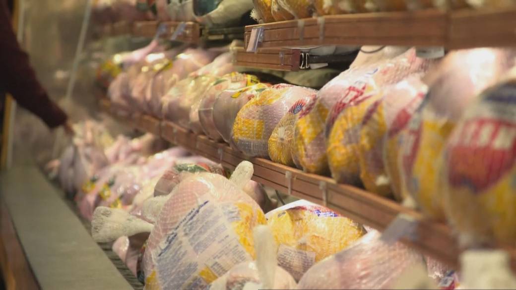 Click to play video: 'Global supply shortages continue to affect the movement of fresh food'