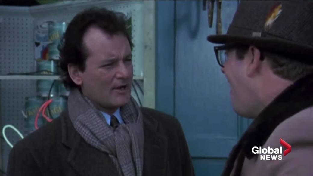 Click to play video: 'COVID-19 pandemic repetition forces many to live' Groundhog Day ''