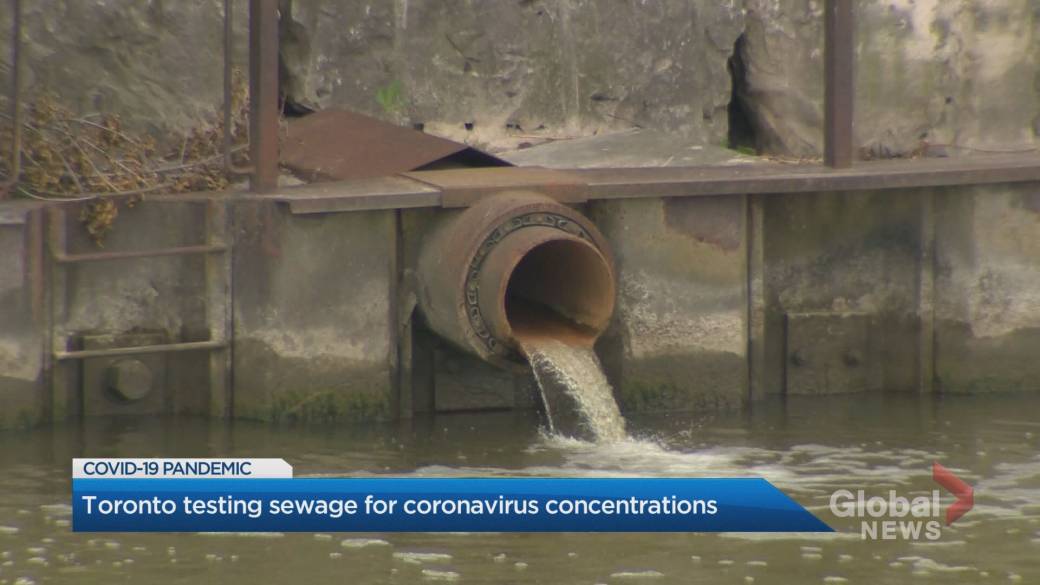 Click to play video: 'Toronto tests sewage for coronavirus concentrations'