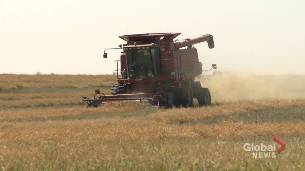 Click to play video: 'FCC report shows Saskatchewan farmland increases in value'