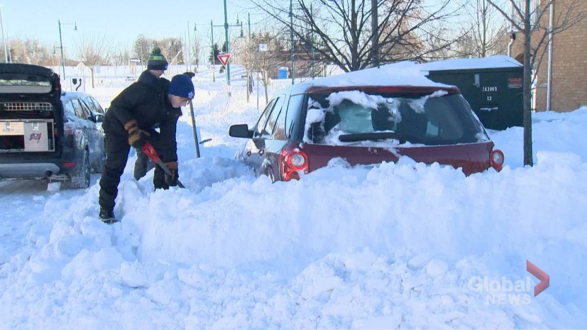 Click to play video: 'GTA schools close for another day as storm clearance continues'