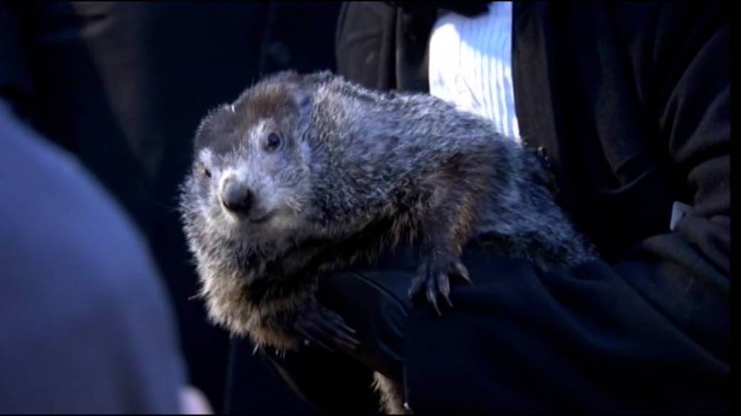 Click to play video: 'Why do we celebrate Groundhog Day?'