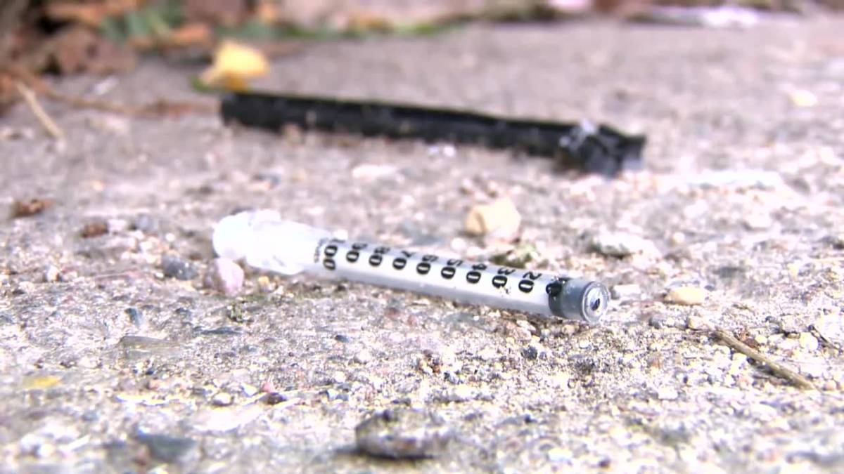 Click to play video: 'Councilors want small-scale drug decriminalization in Winnipeg to be considered'
