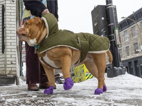 Louis wears purple ankle boots and a fleece coat on a cloudy day in Montreal.