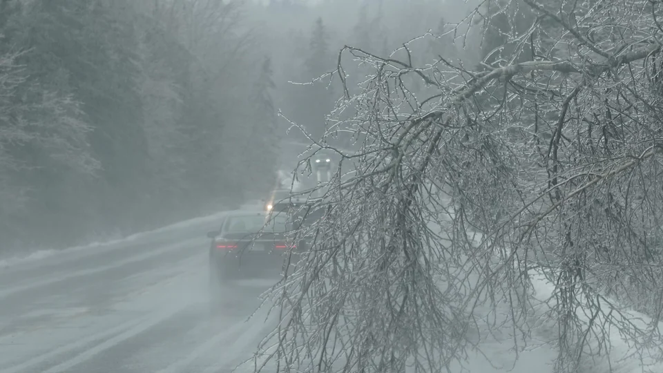 La circulation sur une route couverte d'un mélange de neige et d'eau, et des branches d'un arbre pliées par le verglas.